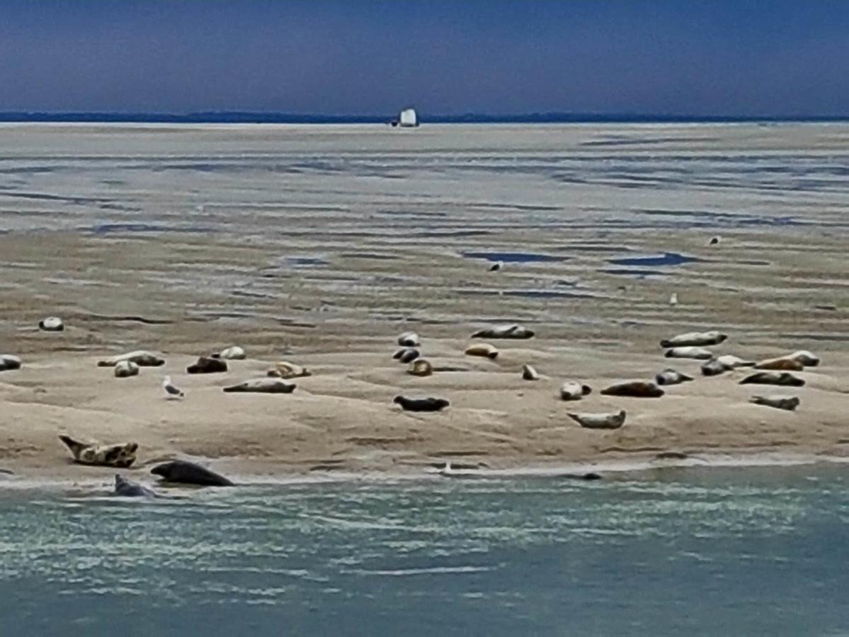 Les Coquillages, 2 Salles De Bains, Tout A Pied Berck Exteriör bild